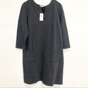 J. Jill Bland & White Striped Dress